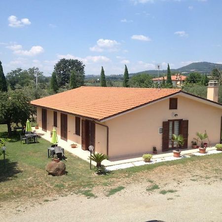 Agriturismo La Piantata Μπολσένα Εξωτερικό φωτογραφία